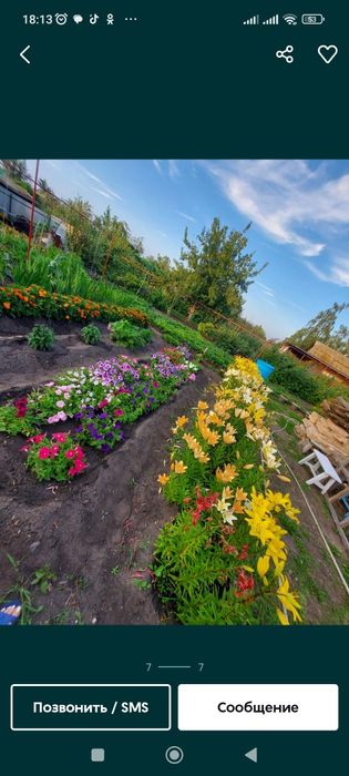 Продам дачу садовое товарищество Борки