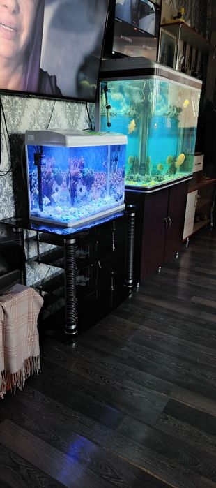 Аквариум аквариум