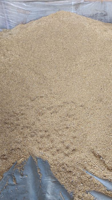 Vând grau si orzoaica 2025