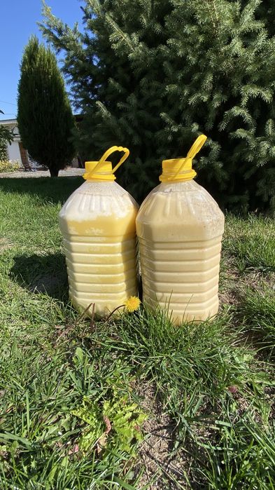 Продам мёд из ВКО. БАЛ.