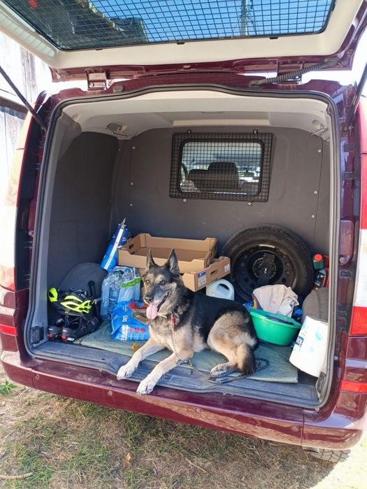 Mercedes-Benz Vito 4x4 2011