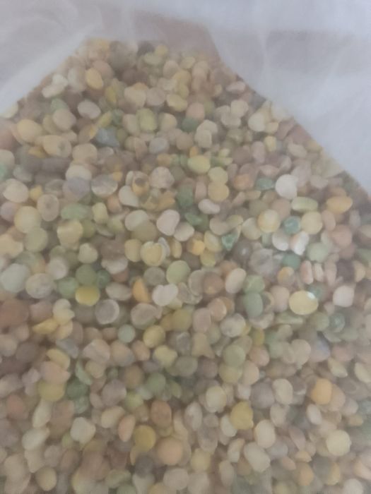 Отходы Отруби зерноотходы Полова Овес