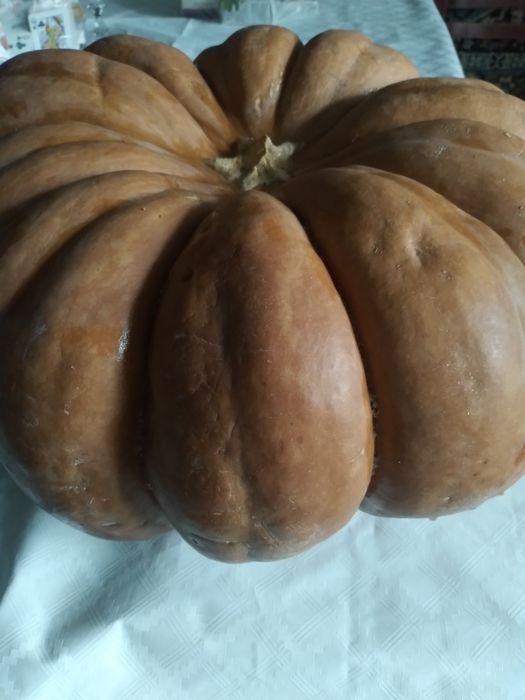 Тыква кусочками сладкая