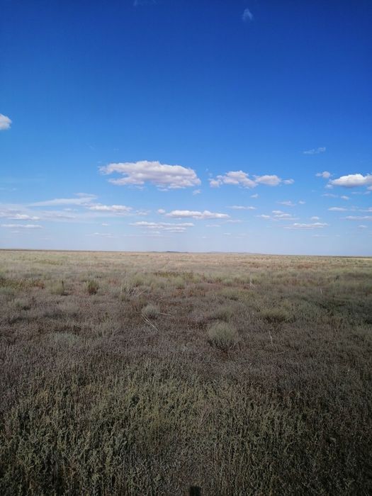 Сдам  землю под пашню