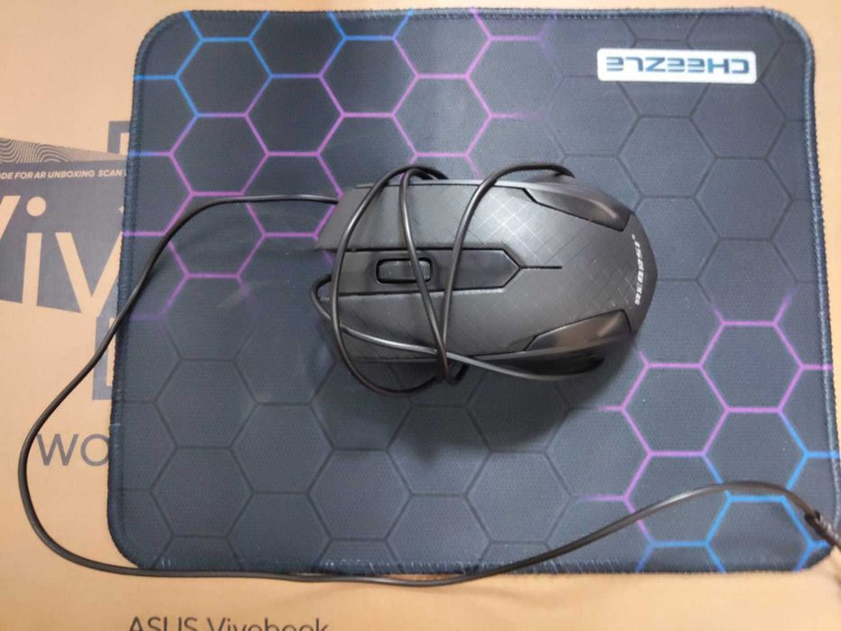 Asus vivobook 2025 года