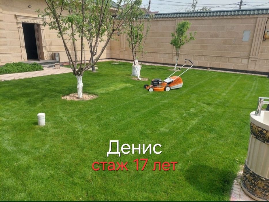 Стрижка газона Денис