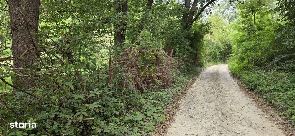 Teren de vanzare 15.000 mp in Telega