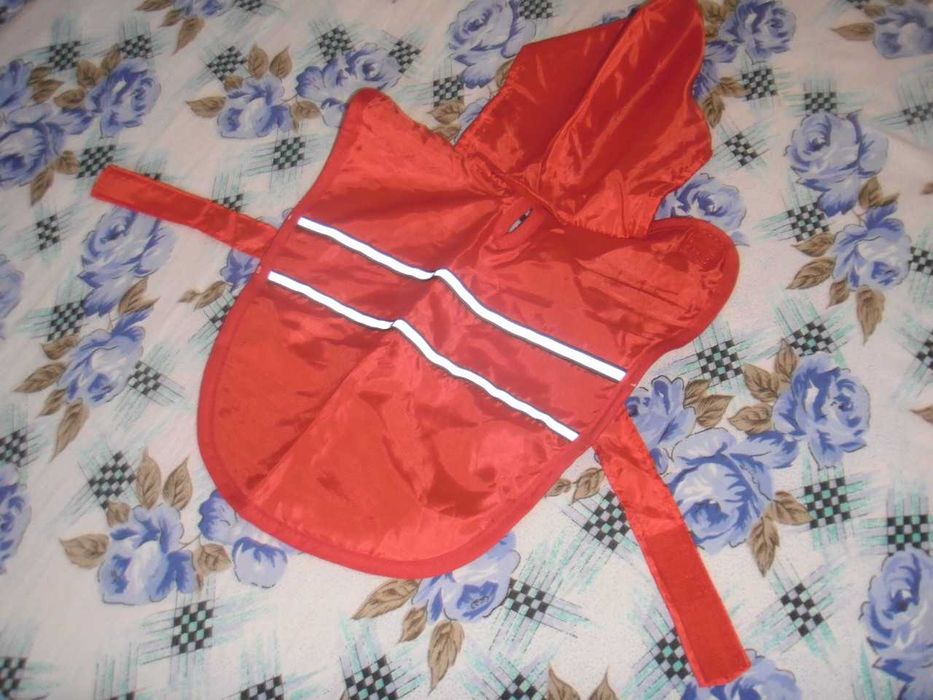 нова дрешка за куче,