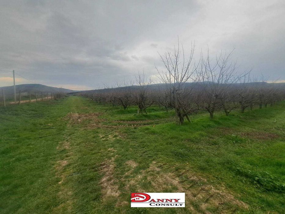 Продава се Земеделски имот в Велико Търново, Акация -  кв.м за 1836 €/дка - Снимка #4
