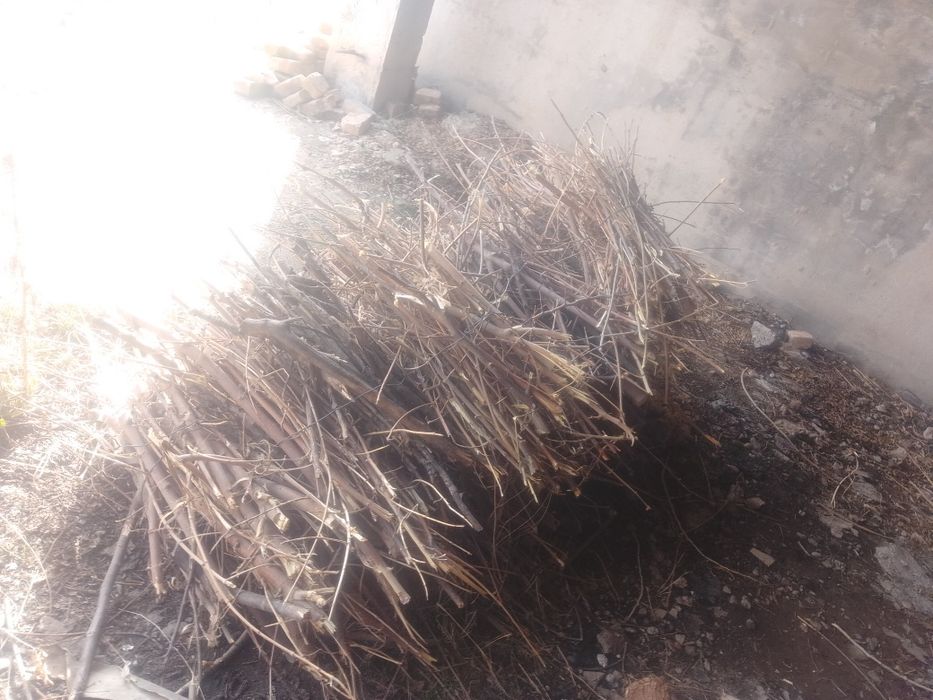 Otin bor kerek bolganlar tel qilsin