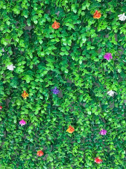 Fitostena | Devorga suniy gullar