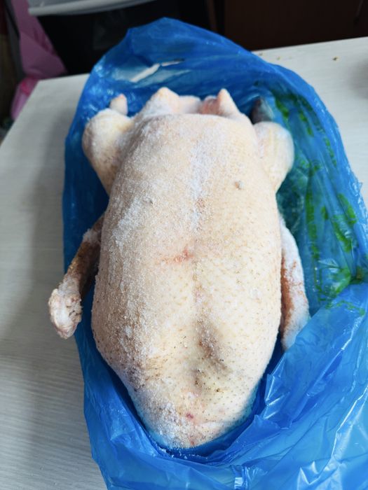 Мясо гуся.  Гуси.