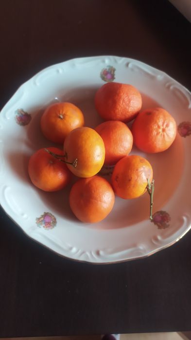 НАМАЛЕНА ЦЕНА! Плато Изида с бароков мотив Ромео и Жулиета