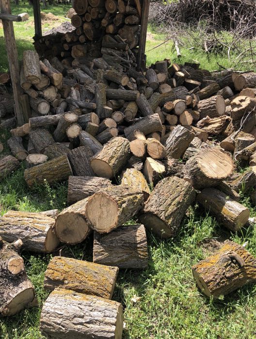 продам сухие дрова карагач