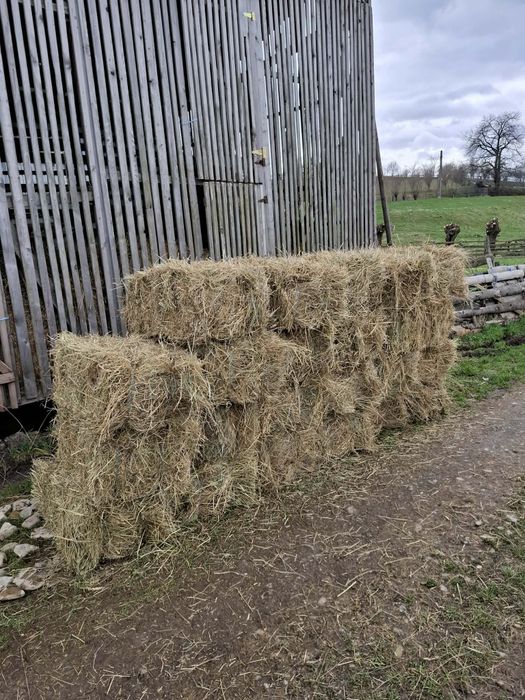Baloți de semănătură