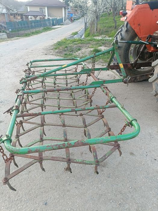 Grape cu colți în stare bună