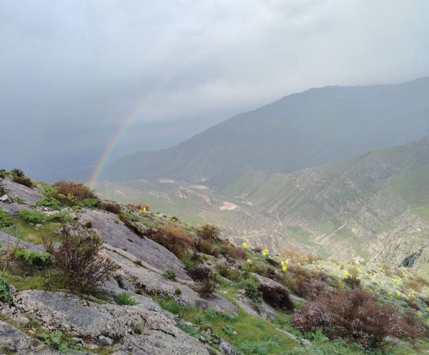 Hostel, uy mehonxona, dam olish maskani, hotel, Urgut togʻida