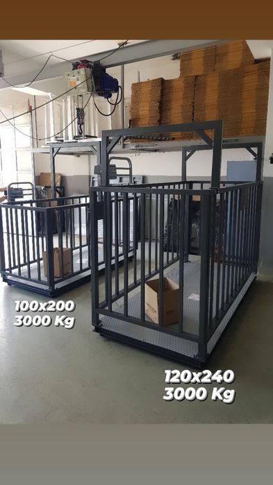 Кантар заживотни