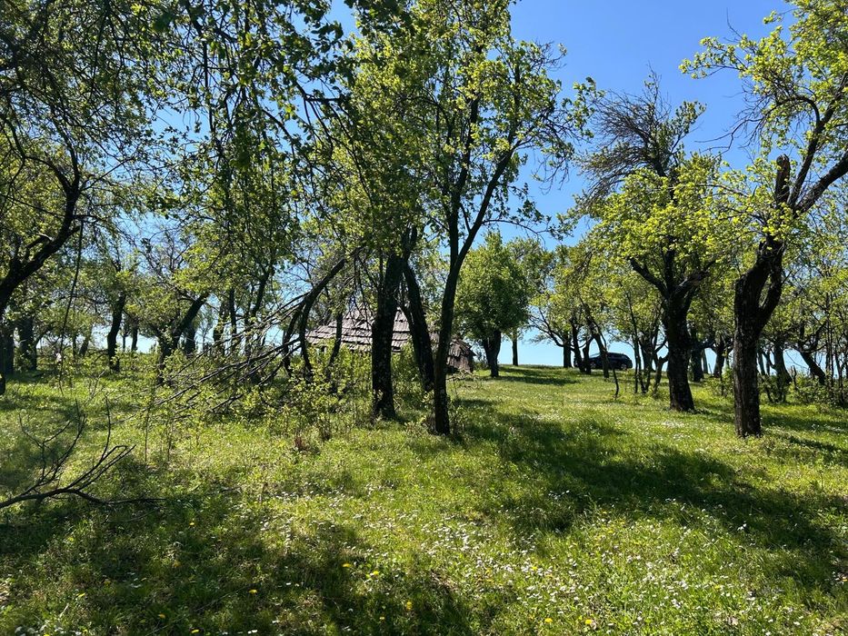 Vand/schimb cu auto teren extravilan