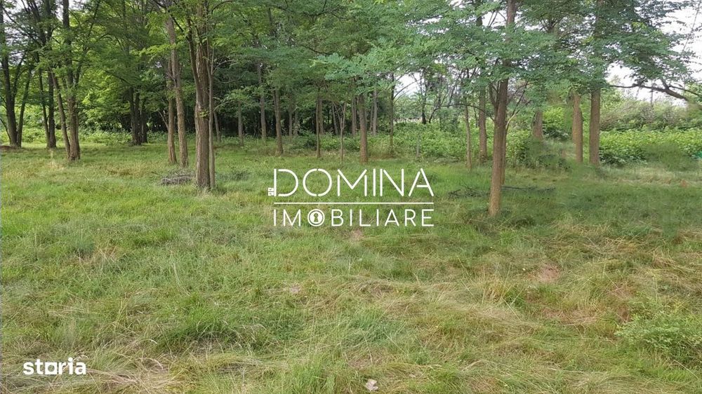 Vanzare teren intravilan 6843 mp, sat Polovragi