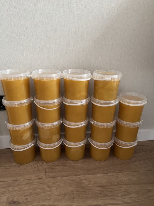 Мед подсолнечник