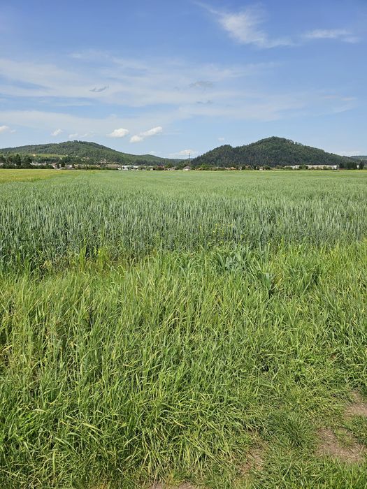 Teren intravilan