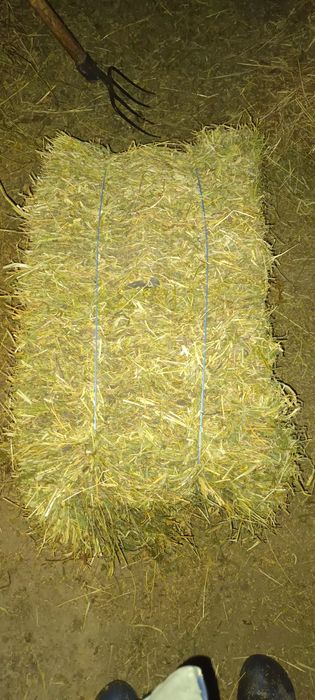 Baloți de vânzare.