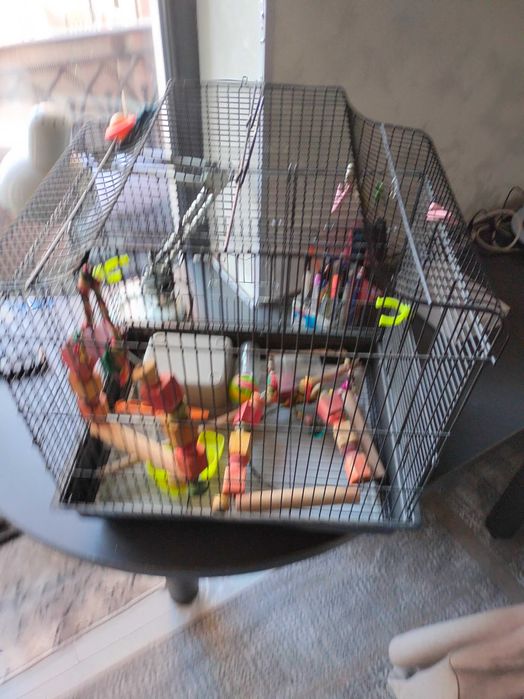 Клетка для попугаев с игрушками