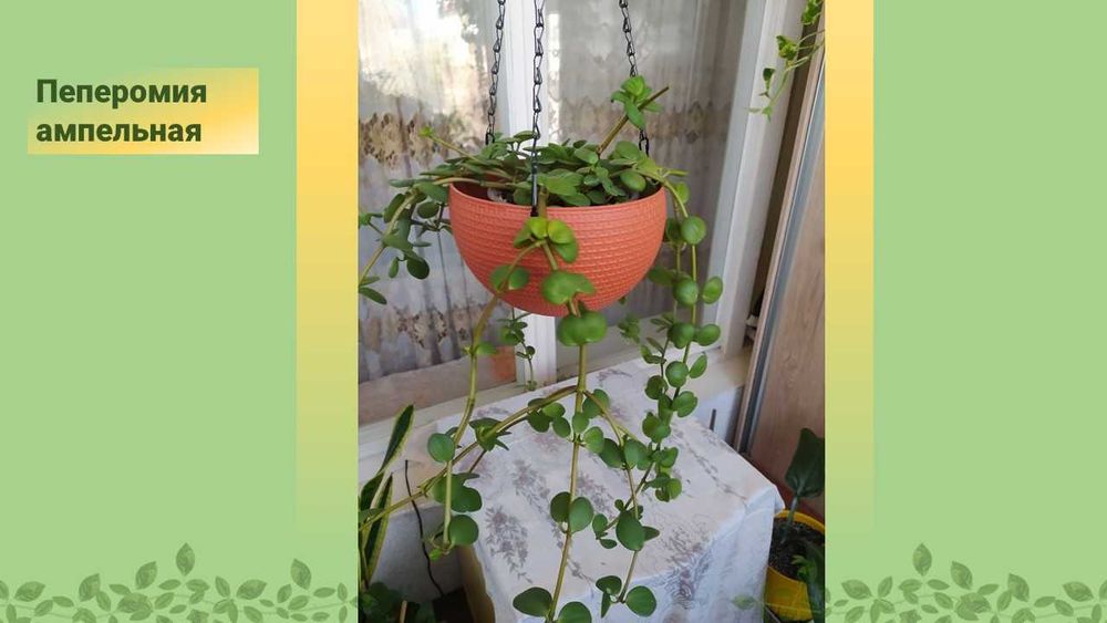 Стеллаж  стеклянный с подсветкой.