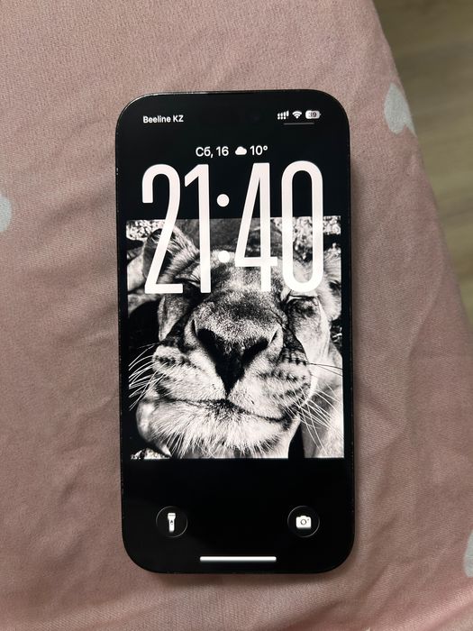 14 pro 256GB black space