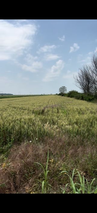 Teren de vanzare in Magurele Ilfov , in apropriere de A0!