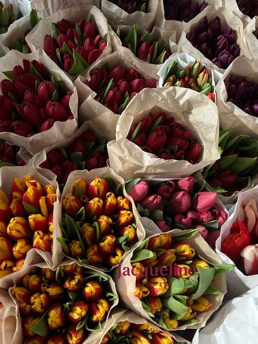 Тюльпаны оптом Астана