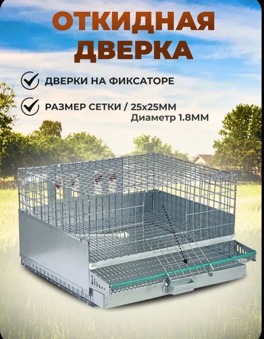 Клетка для перепелов.