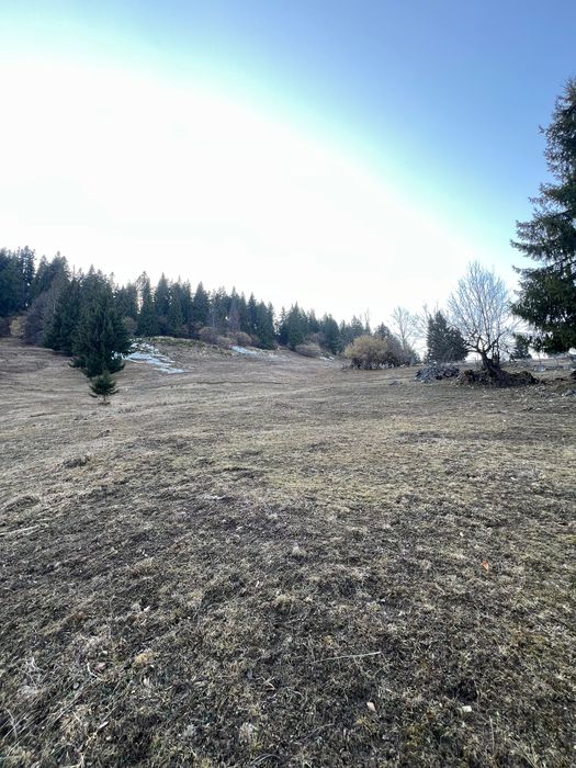 Teren de vânzare Câmpulung Moldovenesc, Izvorul Alb