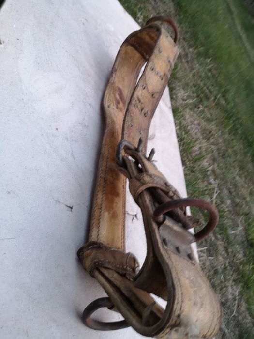 Продам фиксатор для Крс, лошадей