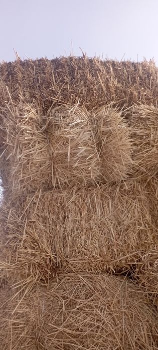Продам сено солома тюки большие