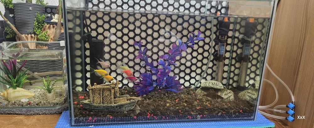 Acvariu 30 litri complet utilat