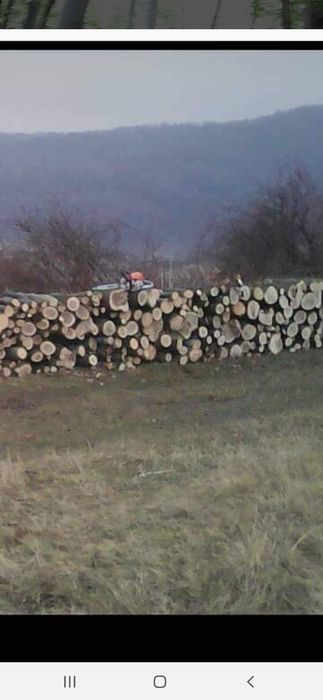Lemne de foc la 250  lei metru
