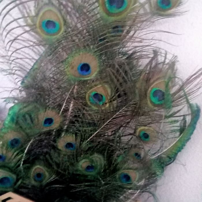 Продаётся перья павлина