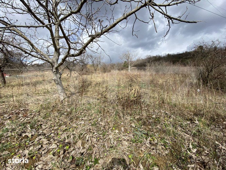Teren intravilan in suprafata  de 2000 mp, zona Episcopiei