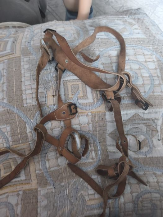 Стремена Павлика