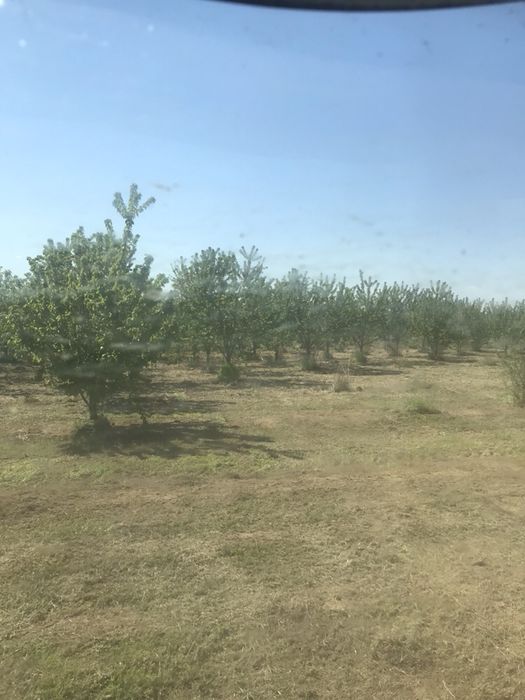 Земеделски услуги