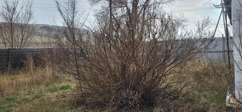 Продаю дом село Гагарина