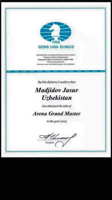 Профессиональное обучение шахматам, участия в турнирах