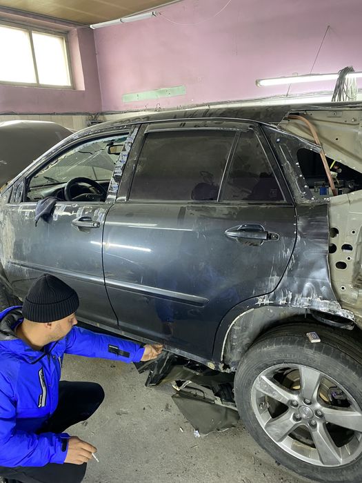 Костоправ маляр