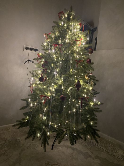 Украшу вашу ёлку и уйду за 10 000 тг