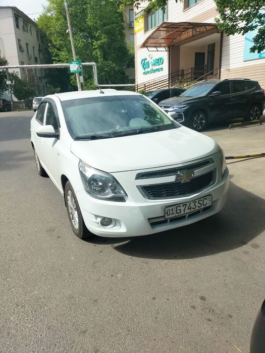 Cobalt ltz style+