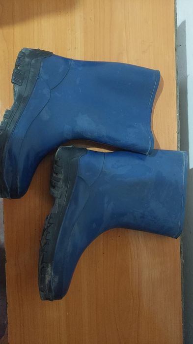 Отдам сапоги резиновые