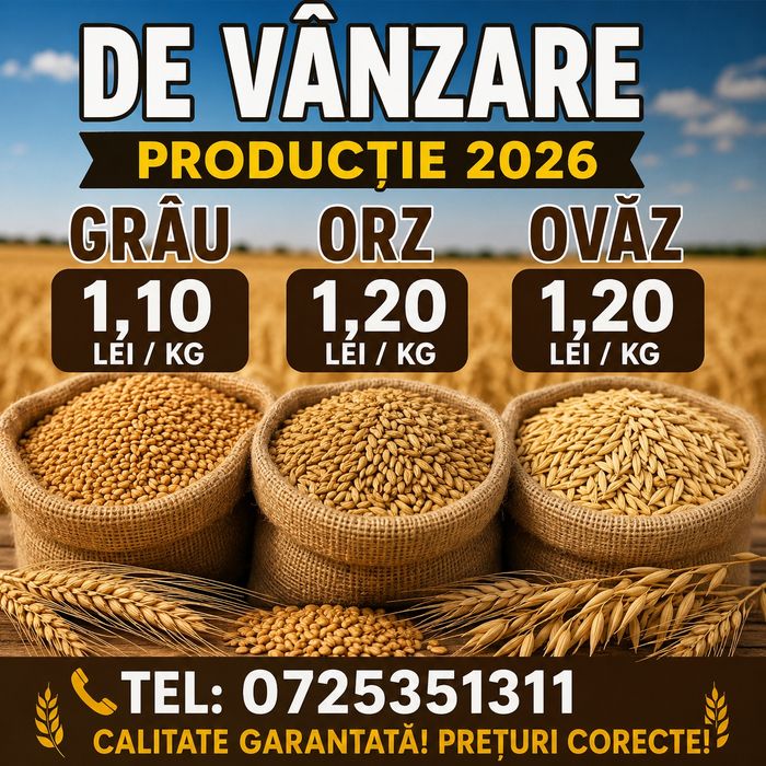 Grâu orz și ovăz de vânzare