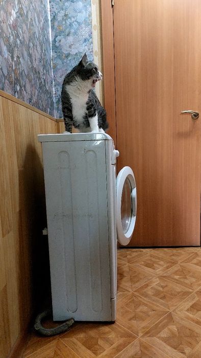 Стиральная машинка Индезит